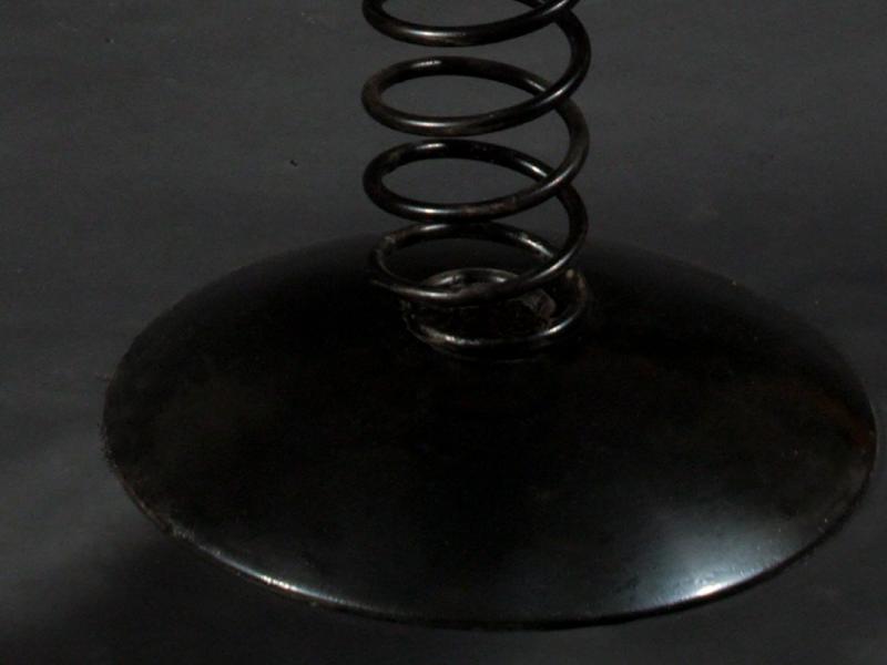 Mercury and the Fetus