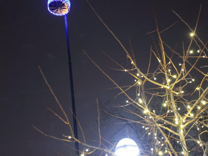 Winter Classic Puck NYE